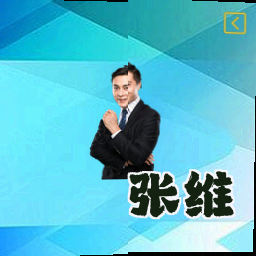 张维