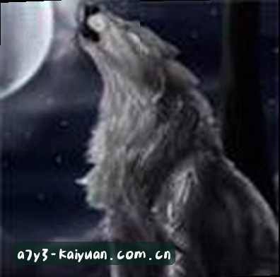 赵静